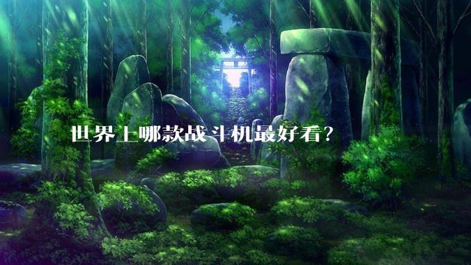 世界上哪款战斗机最好看？